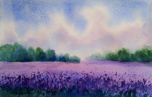 Lavender Time - Sip and Paint in Watercolour - Thursday 16th July - Image 2